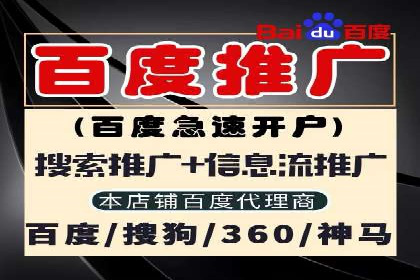 某知名品牌SEM广告投放的创意与执行